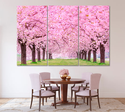 Beautiful Cherry Blossoms Japan Canvas Print ArtLexy 3 Panels 36"x24" inches 