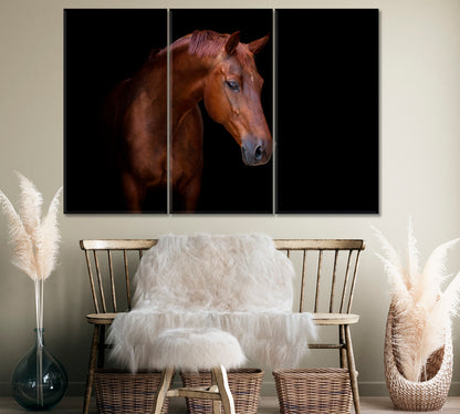 Arabian Horse Portrait Canvas Print ArtLexy 3 Panels 36"x24" inches 