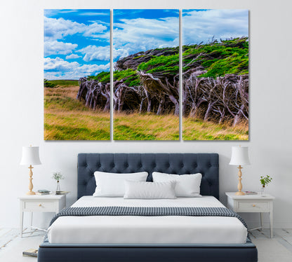 Slope Point Forest Canvas Print ArtLexy 3 Panels 36"x24" inches 