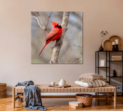 Red Northern Cardinal Bird Canvas Print ArtLexy   