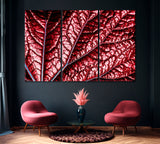 Red Tropical Leaf Canvas Print ArtLexy 3 Panels 36"x24" inches 