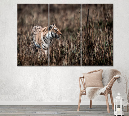 Tiger in Jim Corbett National Park India Canvas Print ArtLexy 3 Panels 36"x24" inches 