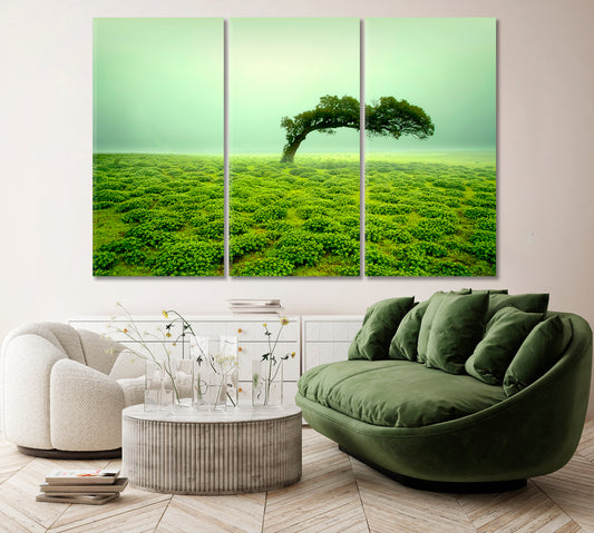 Beautiful Landscape with Lonely Tree Kaas Plateau India Canvas Print ArtLexy 3 Panels 36"x24" inches 