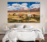 Alpacas and Sajama Volcano Bolivia Canvas Print ArtLexy 3 Panels 36"x24" inches 