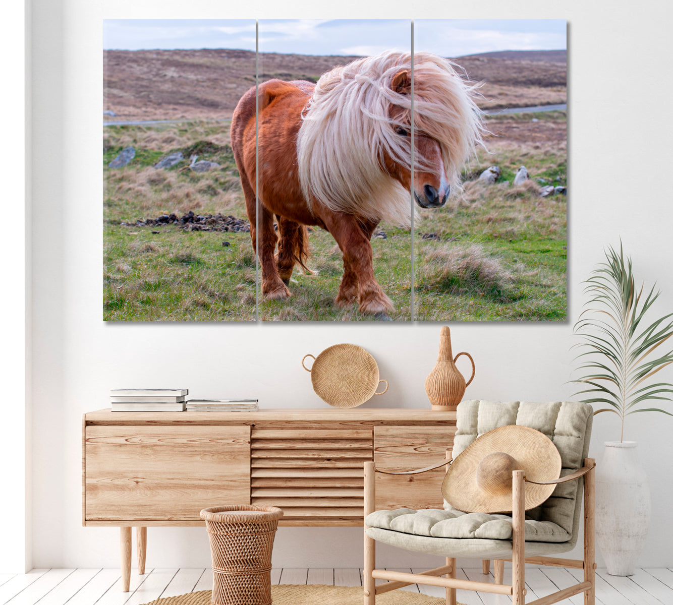 Shetland Pony on Scottish Moor Canvas Print ArtLexy 3 Panels 36"x24" inches 