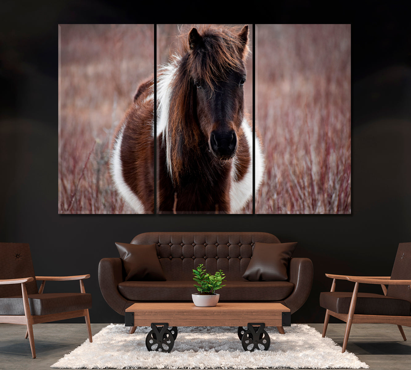 Wild Pony in Grayson Highlands Virginia Canvas Print ArtLexy 3 Panels 36"x24" inches 