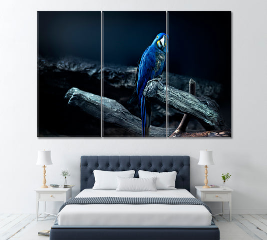 Hyacinth Macaw Parrot Canvas Print ArtLexy 3 Panels 36"x24" inches 