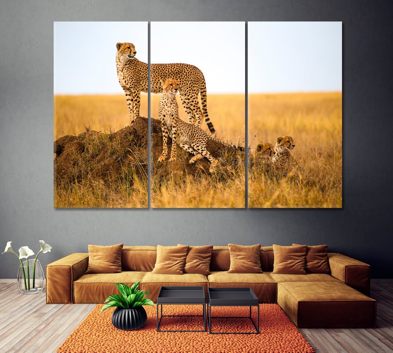 Cheetahs in Serengeti National Park Tanzania Canvas Print ArtLexy 3 Panels 36"x24" inches 