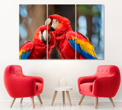 Pair of Parrot Scarlet Macaw Canvas Print ArtLexy 3 Panels 36"x24" inches 