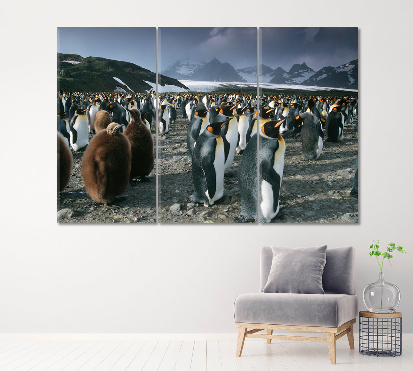 King Penguins Canvas Print ArtLexy 3 Panels 36"x24" inches 