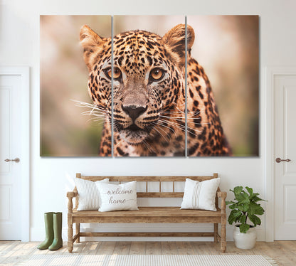 Ceylon Leopard Canvas Print ArtLexy 3 Panels 36"x24" inches 