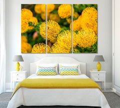 Yellow Protea Flowers Canvas Print ArtLexy 3 Panels 36"x24" inches 