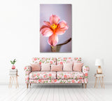 Beautiful Blooming Tulip Canvas Print ArtLexy   