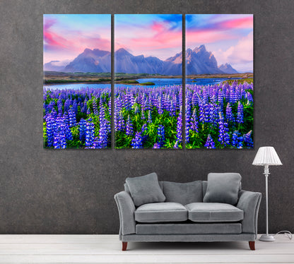 Famous Lupine Flowers near Stokksnes Mountains Iceland Canvas Print ArtLexy 3 Panels 36"x24" inches 