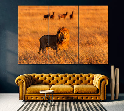 Lion in High Grass in Masai Mara Kenya Canvas Print ArtLexy 3 Panels 36"x24" inches 