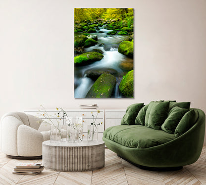 Stream with Rocks and Moss Canvas Print ArtLexy   