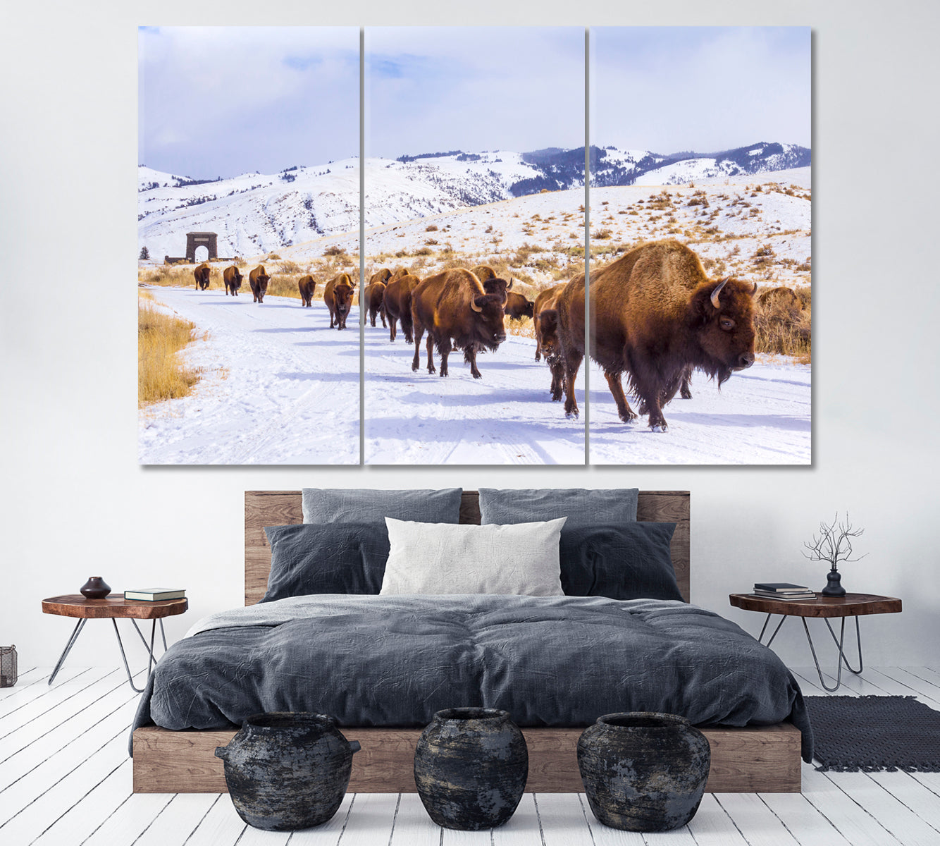 Herd of American Bison near Roosevelt Arch  Yellowstone Canvas Print ArtLexy 3 Panels 36"x24" inches 