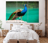 Peacock at Blue Lake in Abkhazia Canvas Print ArtLexy 3 Panels 36"x24" inches 