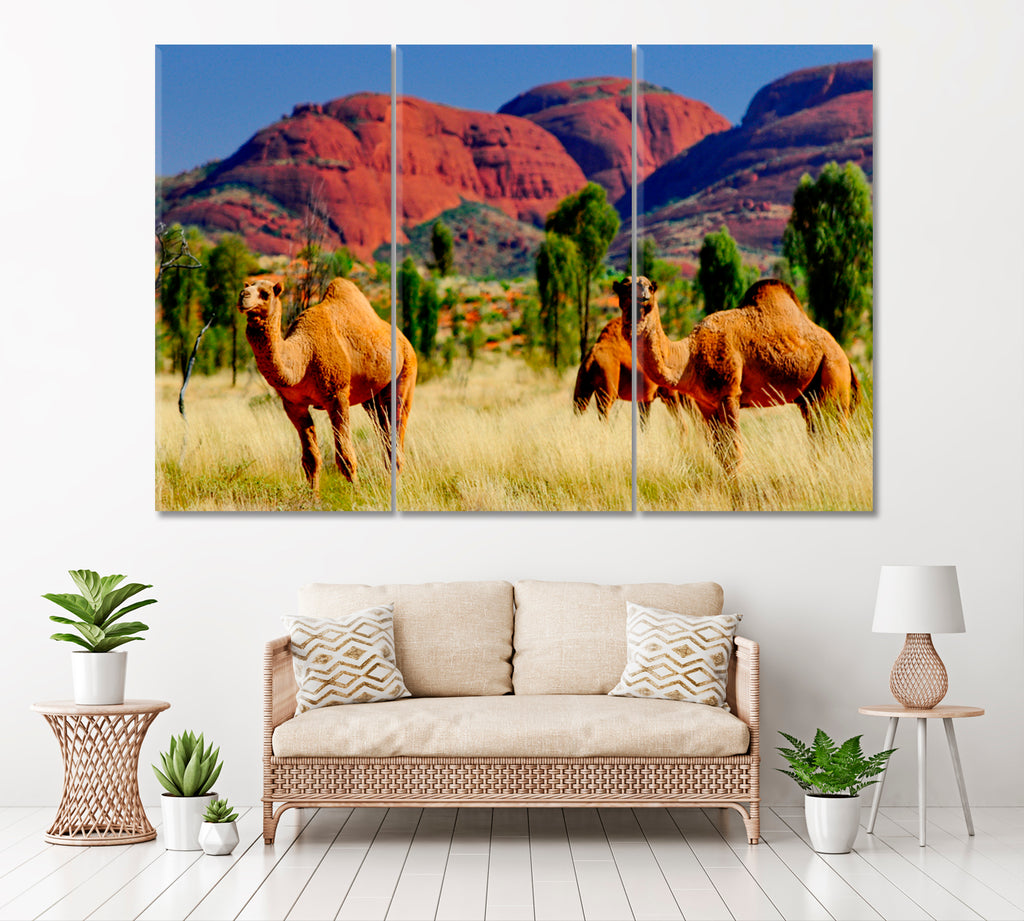 Camels and Kata Tjuta Australia Canvas Print ArtLexy 3 Panels 36"x24" inches 