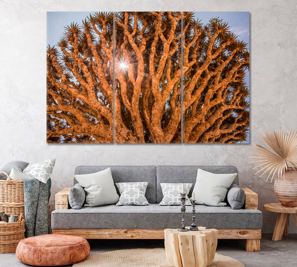 Branches of Dragon Blood Tree Socotra Canvas Print ArtLexy 3 Panels 36"x24" inches 