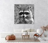 Raccoon Canvas Print ArtLexy 1 Panel 12"x12" inches 