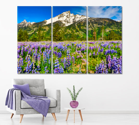 Grand Teton Mountains Jackson Wyoming Canvas Print ArtLexy 3 Panels 36"x24" inches 
