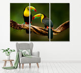 Toucans on Branch Costa Rica Forest Canvas Print ArtLexy 3 Panels 36"x24" inches 