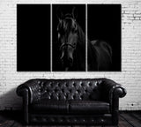 Portrait of Colombian Creole Horse Canvas Print ArtLexy 3 Panels 36"x24" inches 