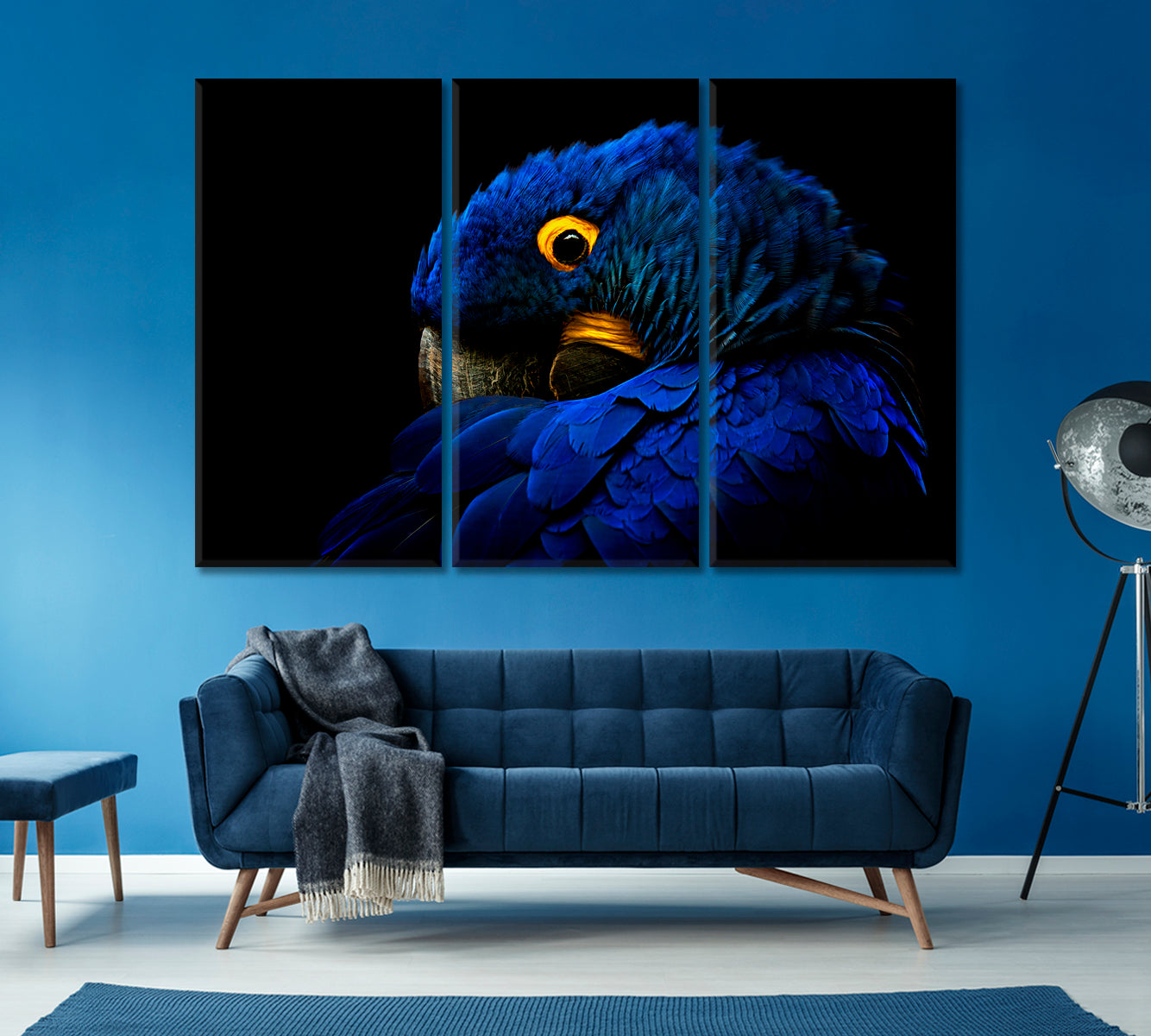 Hyacinth Macaw Portrait Canvas Print ArtLexy   