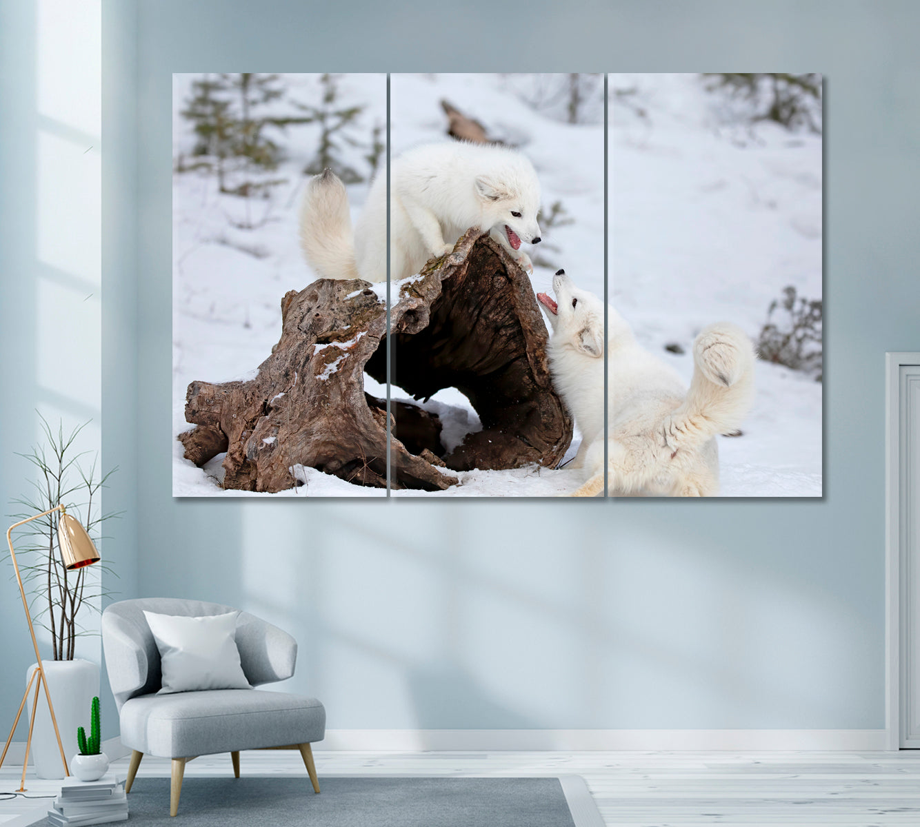 Two Arctic Fox Playing in Snow Montana USA Canvas Print ArtLexy 3 Panels 36"x24" inches 