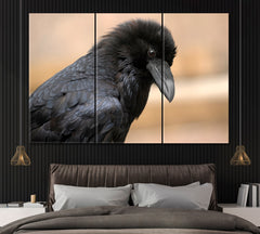 Portrait of Black Raven Canvas Print ArtLexy 3 Panels 36"x24" inches 