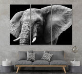 Elephant in Black and White Canvas Print ArtLexy 3 Panels 36"x24" inches 