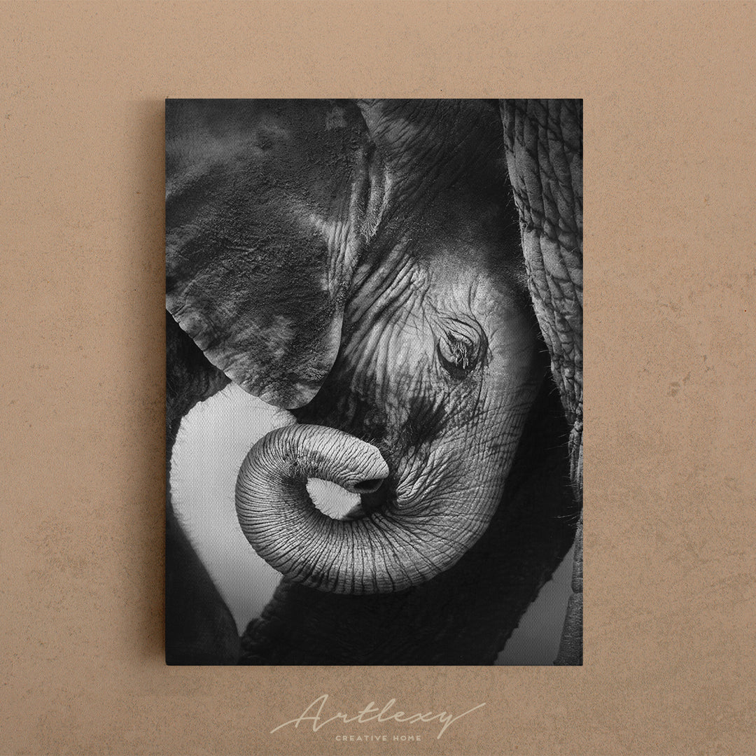 Baby Elephant Canvas Print ArtLexy   