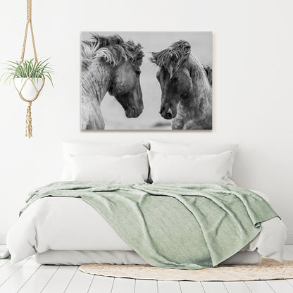 Couple of Horses in Black and White Canvas Print ArtLexy   
