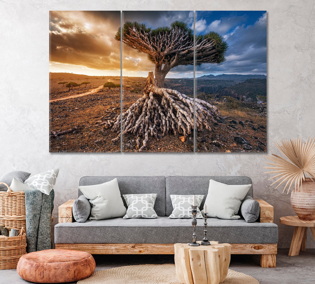 Dragon Tree Socotra Island Yemen Canvas Print ArtLexy 3 Panels 36"x24" inches 