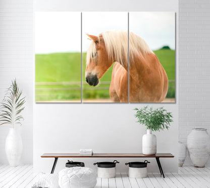 Beautiful Haflinger Horse Canvas Print ArtLexy 3 Panels 36"x24" inches 