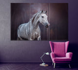 Portrait of Arabian Horse Canvas Print ArtLexy 3 Panels 36"x24" inches 