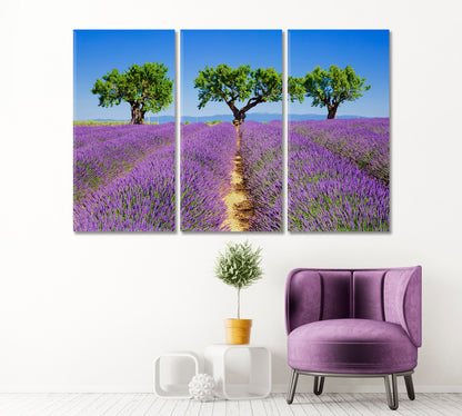 Lavender Fields of Provence France Canvas Print ArtLexy 3 Panels 36"x24" inches 