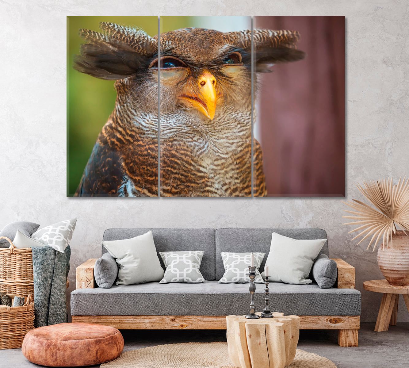 Funny Owl Canvas Print ArtLexy 3 Panels 36"x24" inches 
