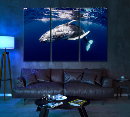 Humpback Whale Underwater Canvas Print ArtLexy 3 Panels 36"x24" inches 