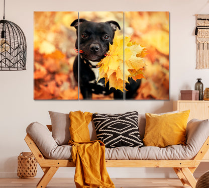 Cute Staffordshire Bull Terrier Dog Holding Autumn Leaves Canvas Print ArtLexy 3 Panels 36"x24" inches 