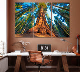 Giant Sequoia Trees in Sequoia National Park USA Canvas Print ArtLexy 3 Panels 36"x24" inches 