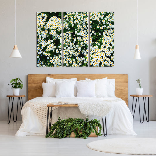 Chamomile Canvas Print ArtLexy 3 Panels 36"x24" inches 