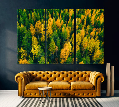 Top View of Finland Autumn Forest Canvas Print ArtLexy 3 Panels 36"x24" inches 