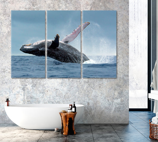 Humpback Whale in Tonga Waters Canvas Print ArtLexy 3 Panels 36"x24" inches 