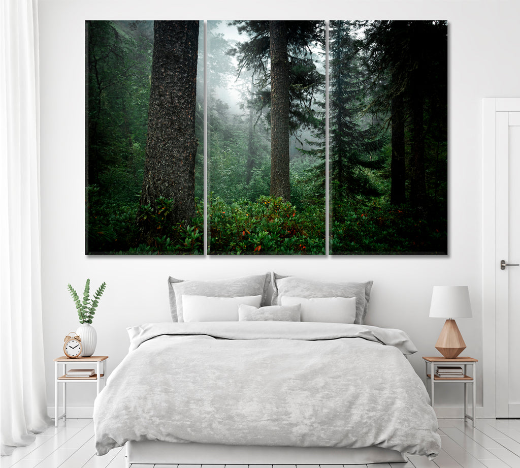 Coniferous Trees in Forest of Taiga Siberia Russia Canvas Print ArtLexy 3 Panels 36"x24" inches 