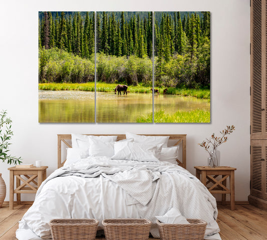 Moose in Tongass National Forest Alaska Canvas Print ArtLexy 3 Panels 36"x24" inches 