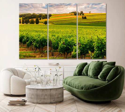 Burgundy Vineyard France Canvas Print ArtLexy 3 Panels 36"x24" inches 