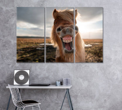 Smiling Icelandic Horse Canvas Print ArtLexy 3 Panels 36"x24" inches 