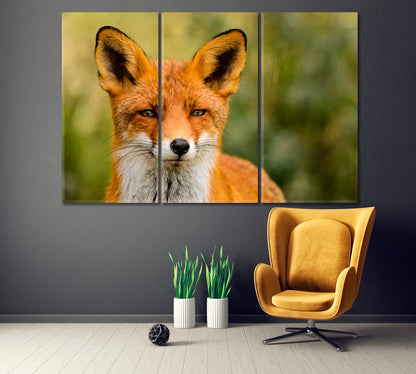 Red Fox Portrait Canvas Print ArtLexy 3 Panels 36"x24" inches 